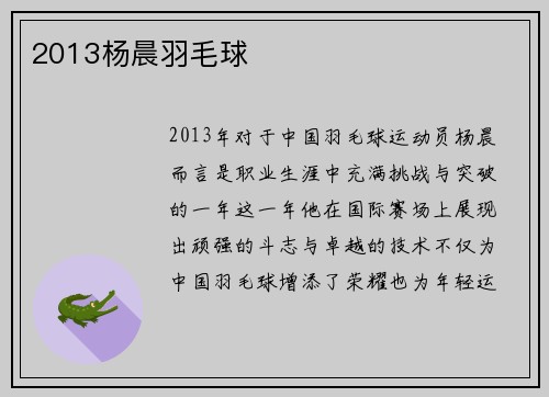 2013杨晨羽毛球